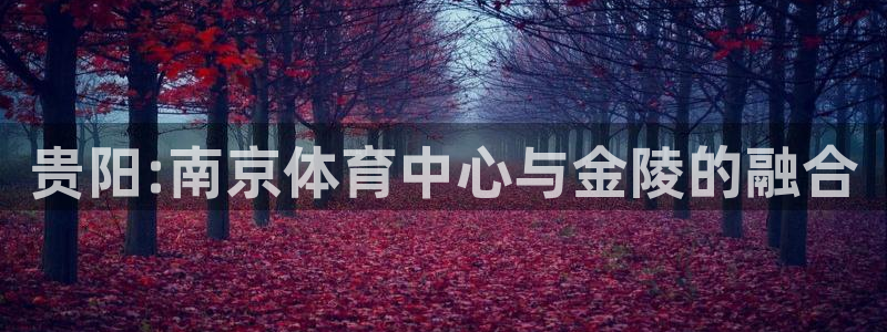 意昂4集团logo：贵阳:南京体育中心与金陵的融合