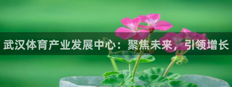 意昂体育4招商电话地址
