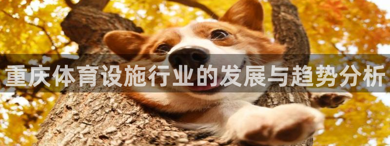 意昂体育4联系电话：重庆体育设施行业的发展与趋势分析