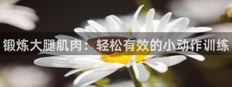 意昂体育4招商电话地址查询：锻炼大腿肌肉：轻松有效的小动作训 