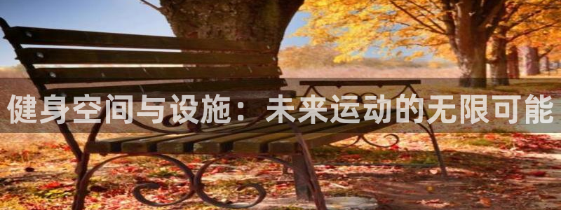 海南意昂体育4发展怎么样：健身空间与设施：未来运动的