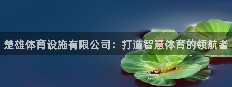 意昂体育4招商电话是多少啊：楚雄体育设施有限公司：打