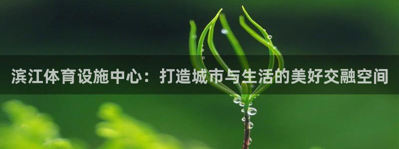 意昂4集团logo