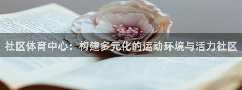意昂体育4平台是正规平台吗：社区体育中心：构建多元化的运动环