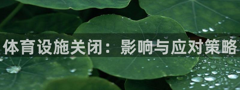 意昂4代理