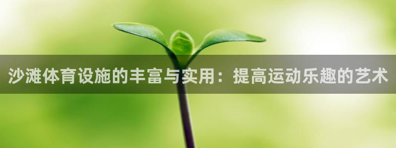 意昂体育4招商：沙滩体育设施的丰富与实用：提高运动乐趣的艺术 