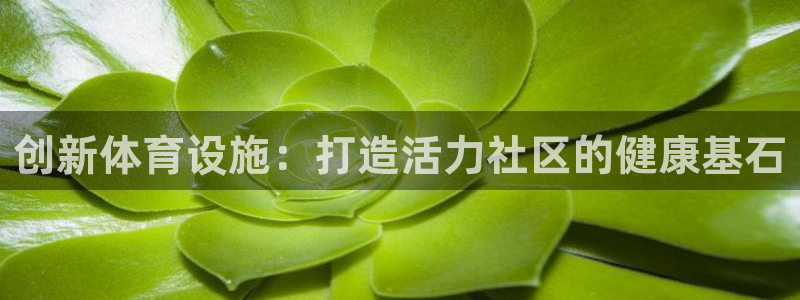 意昂体育4招商电话号码查询是多少：创新体育设施：打造活力社区