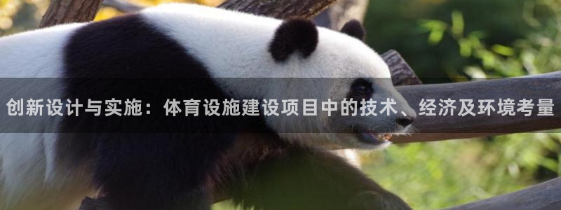 意昂平台体育：创新设计与实施：体育设施建设项目中的技术、经济