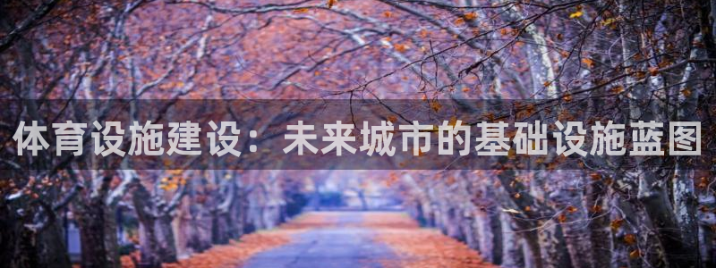意昂4代理：体育设施建设：未来城市的基础设施蓝图