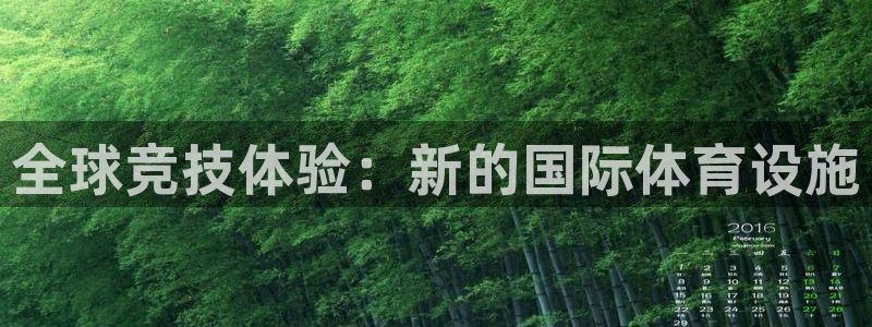 意昂体育4平台假的吗是真的吗：全球竞技体验：新的国际体育设施
