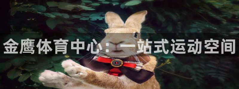 意昂体育4平台是正规平台吗知乎：金鹰体育中心：一站式