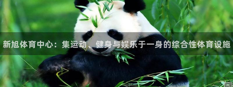 意昂体育4注册：新旭体育中心：集运动、健身与娱乐于一