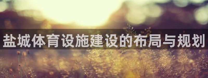 意昂体育4开户：盐城体育设施建设的布局与规划