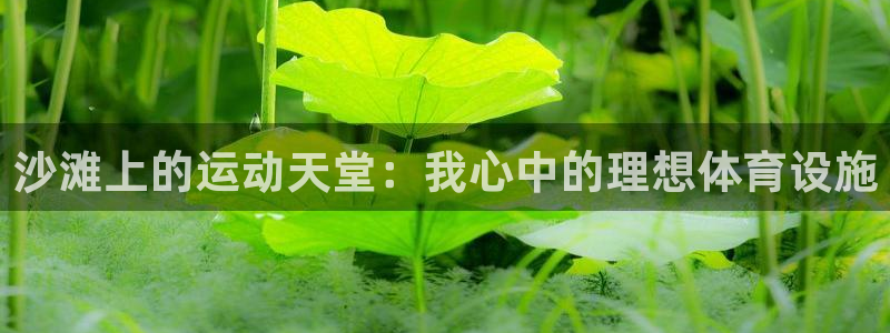 意昂4集团官网网址