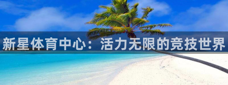 意昂4娱乐40996：新星体育中心：活力无限的竞技世界 