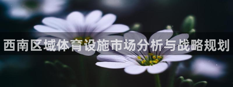 意昂体育4平台是正规平台吗